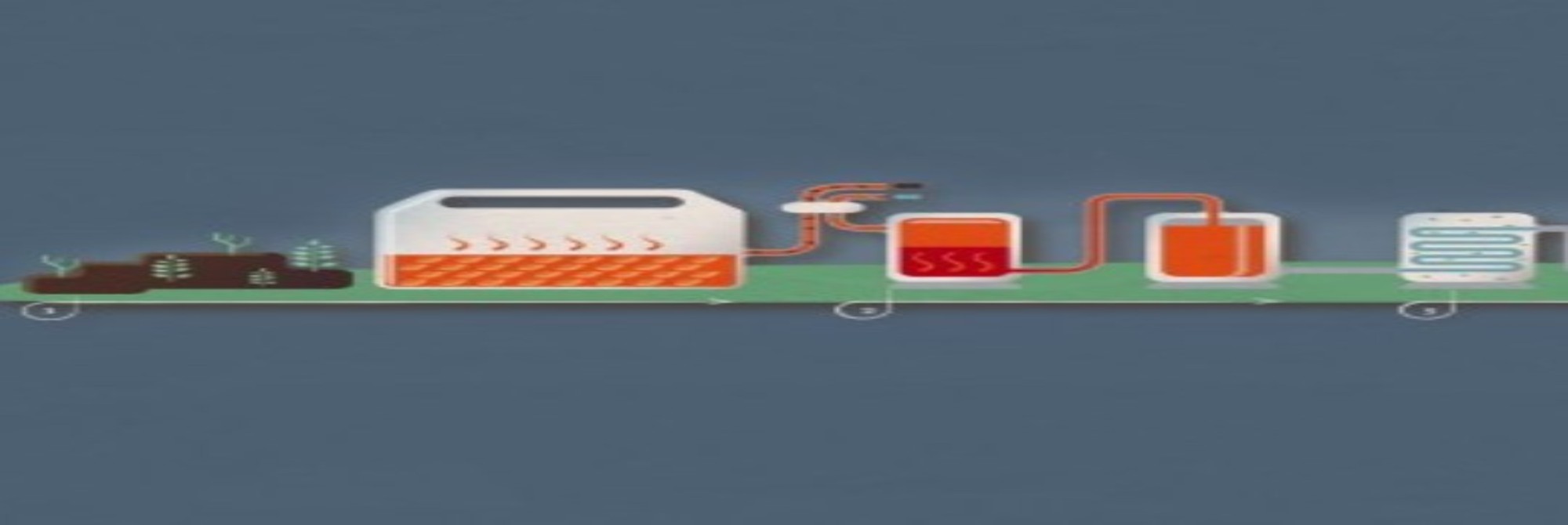 BioTFuel: Driving with plant-based fuels