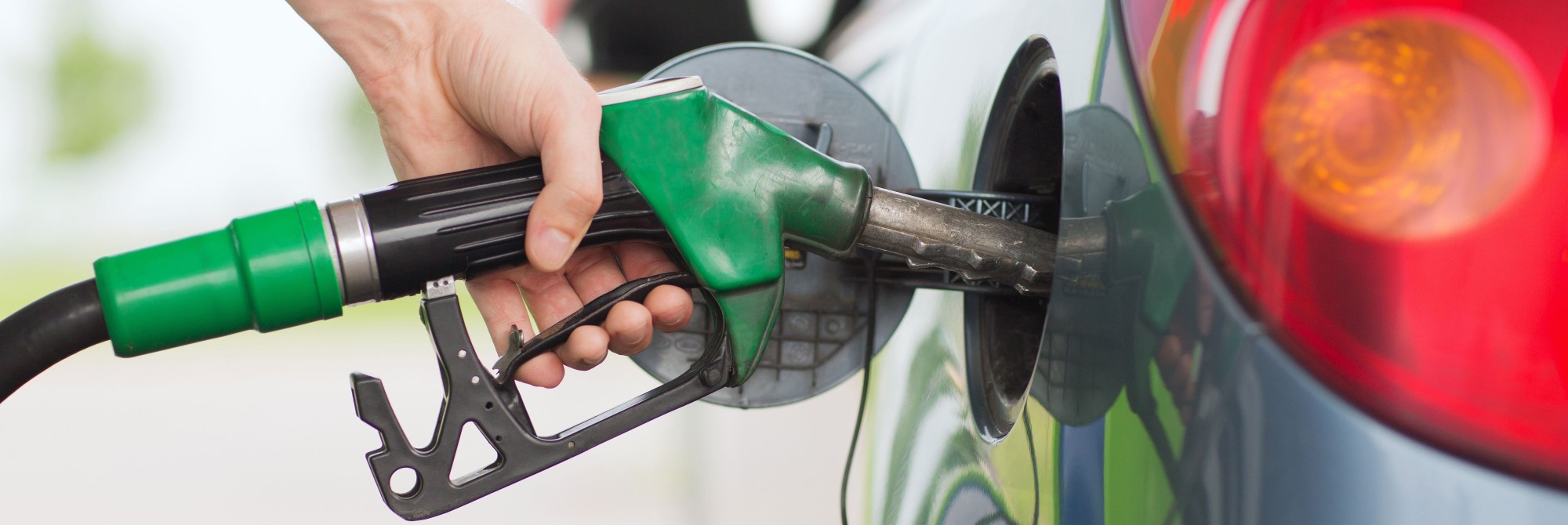 BioTFuel: Fahren mit pflanzlichen Rohstoffe