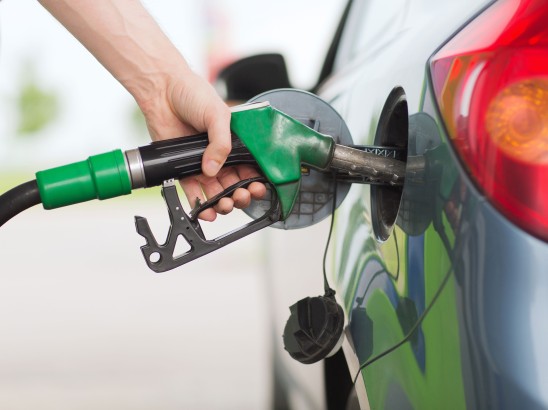 BioTFuel: Driving with plant-based fuels
